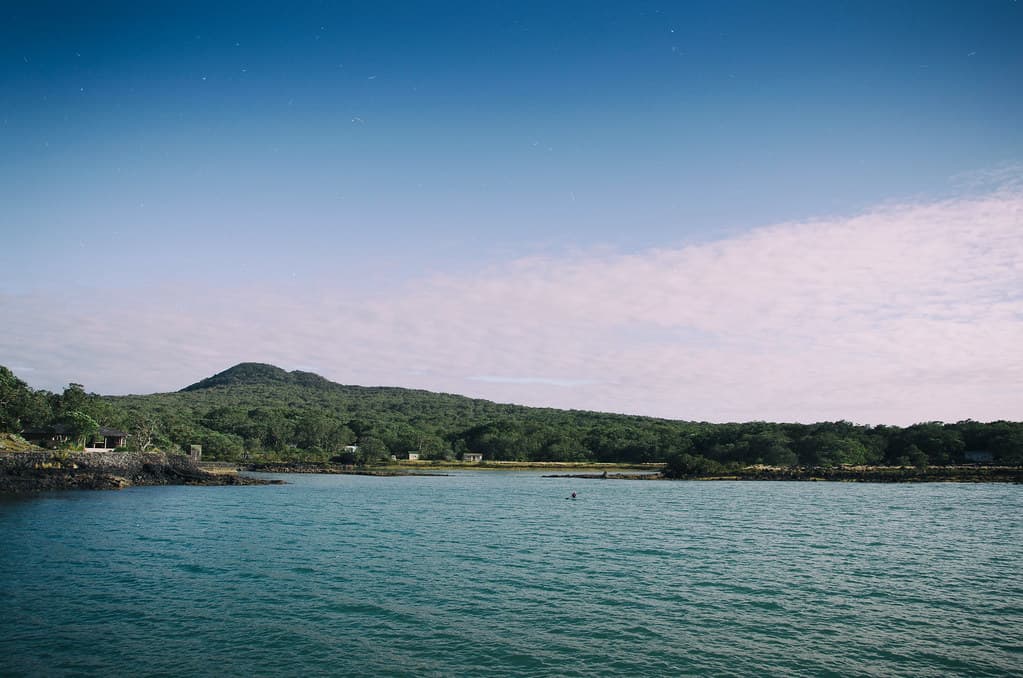 Rangitoto Island