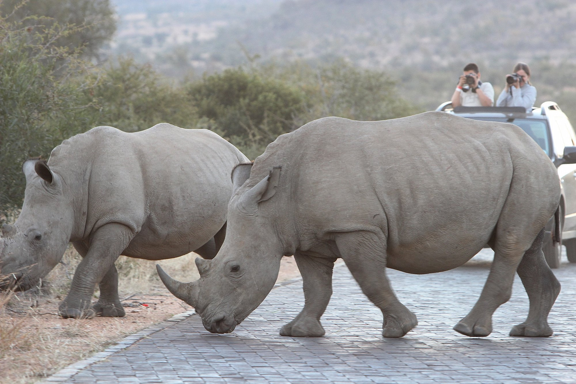 Pilanesberg National Park