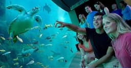 Sea World