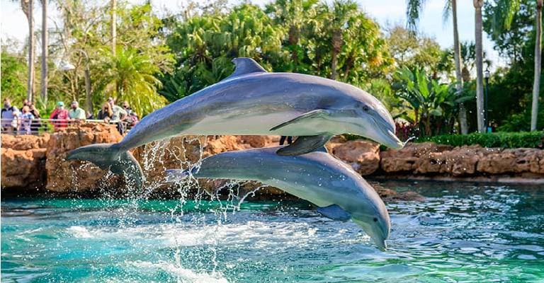 Sea World