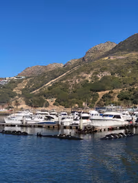 Seal Island Cruise