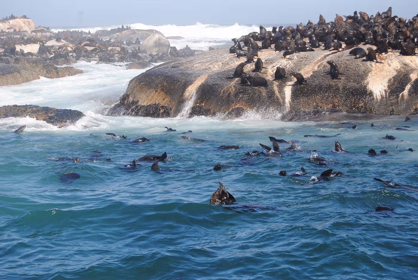 Seal Island