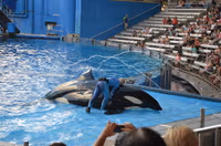 SeaWorld Orlando