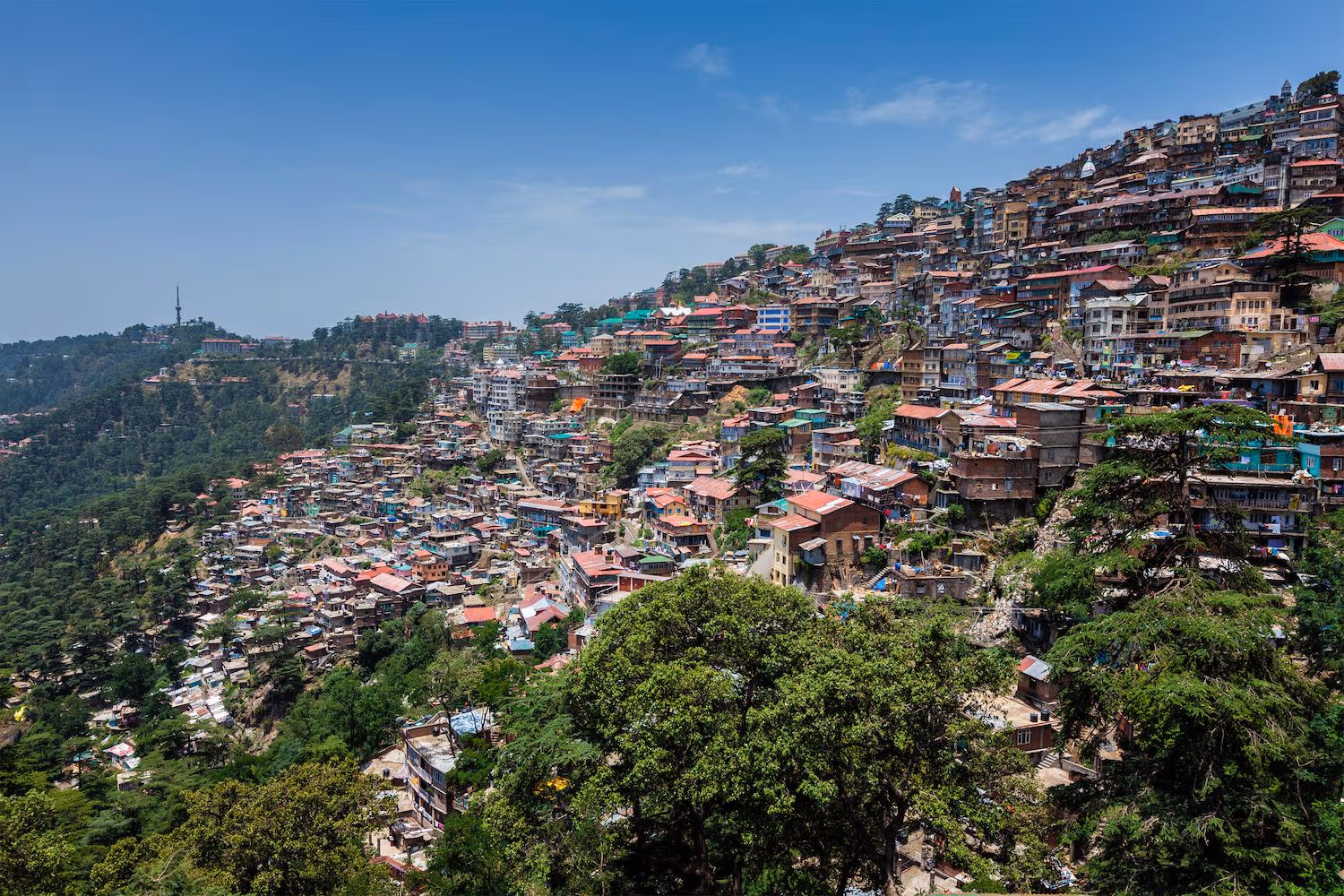 Shimla