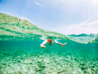 Snorkelling in Crystal Clear Water