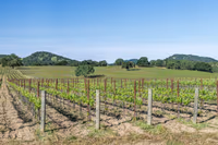 Sonoma