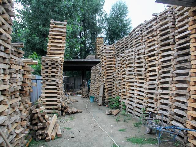 Cricket Bat Factories