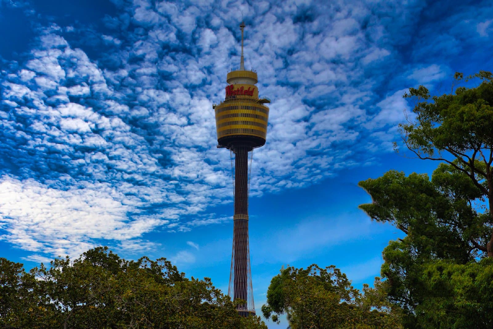 Sydney Tower Eye