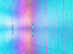 Team Lab Super Nature Macau