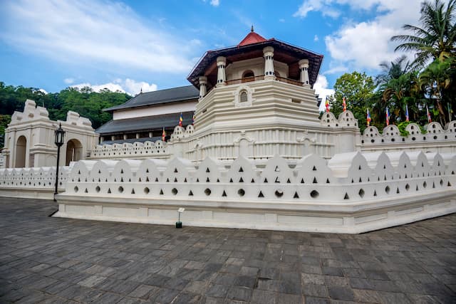 Sri Lanka Nature Tour