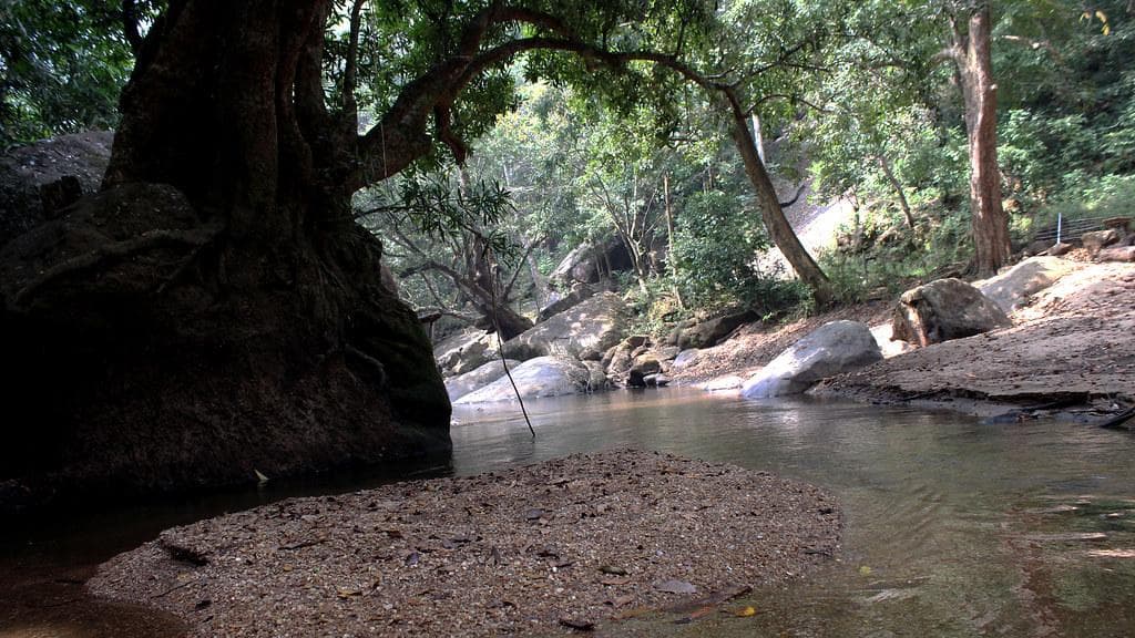 Thommankuthu waterfall