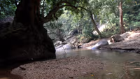 Thommankuthu waterfall