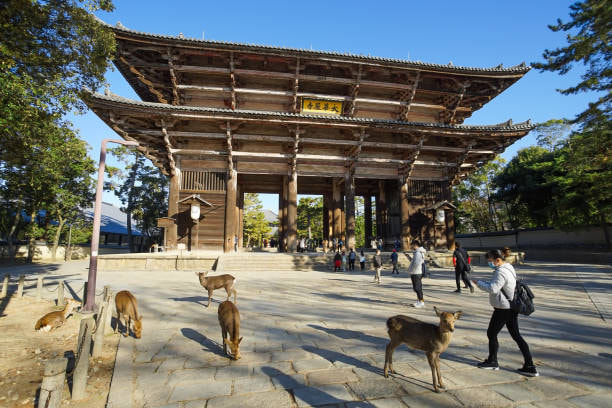 Todai-ji Temple With Deer park