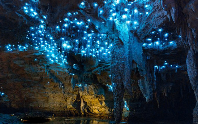 waitomo glowworm cave 1