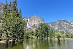 Day Trip To Yosemite National Park From San Francisco