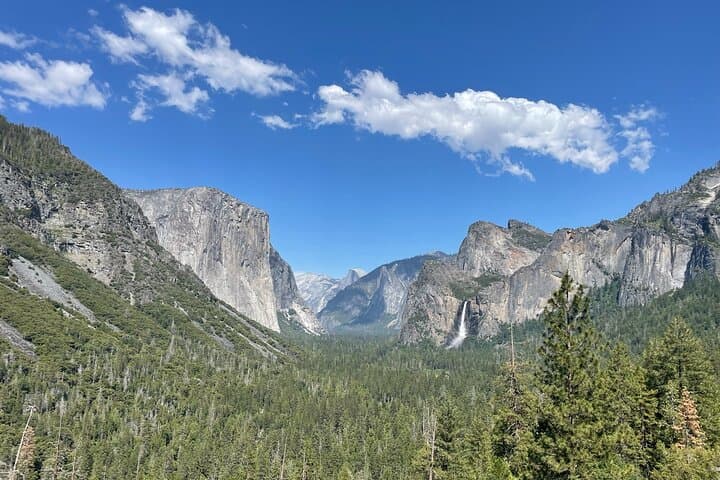 Day Trip To Yosemite National Park From San Francisco