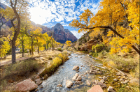 Zion National Park