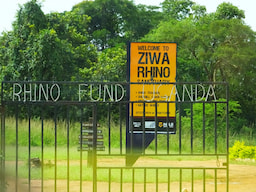 Ziwa Rhino Sanctuary