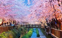 South Korea