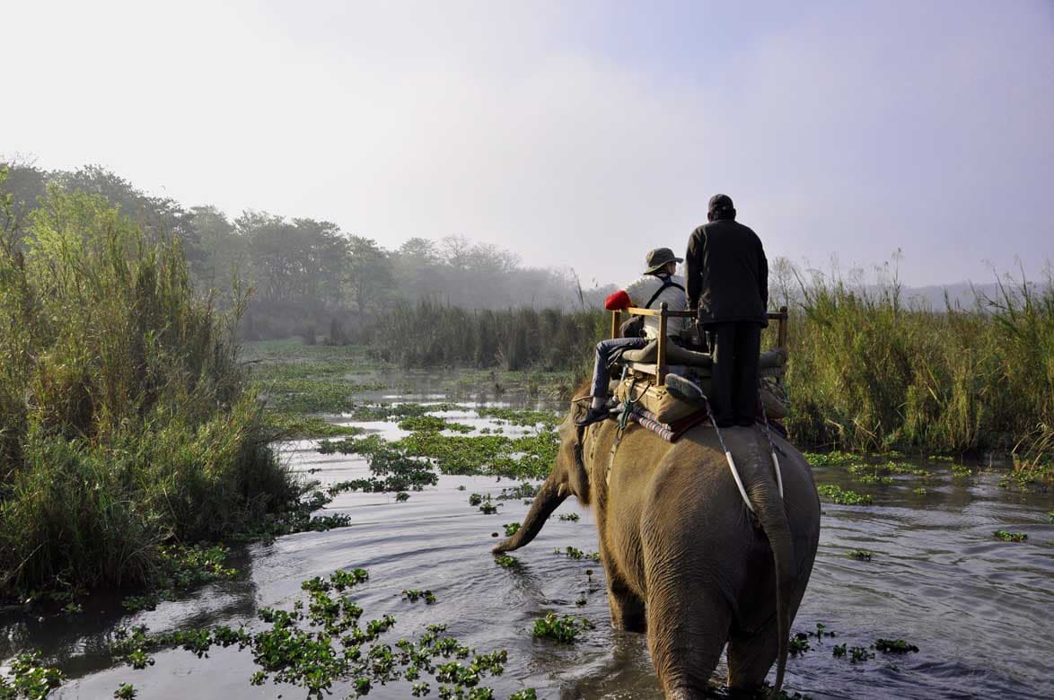 Elephant safari in Chitwan National Park
