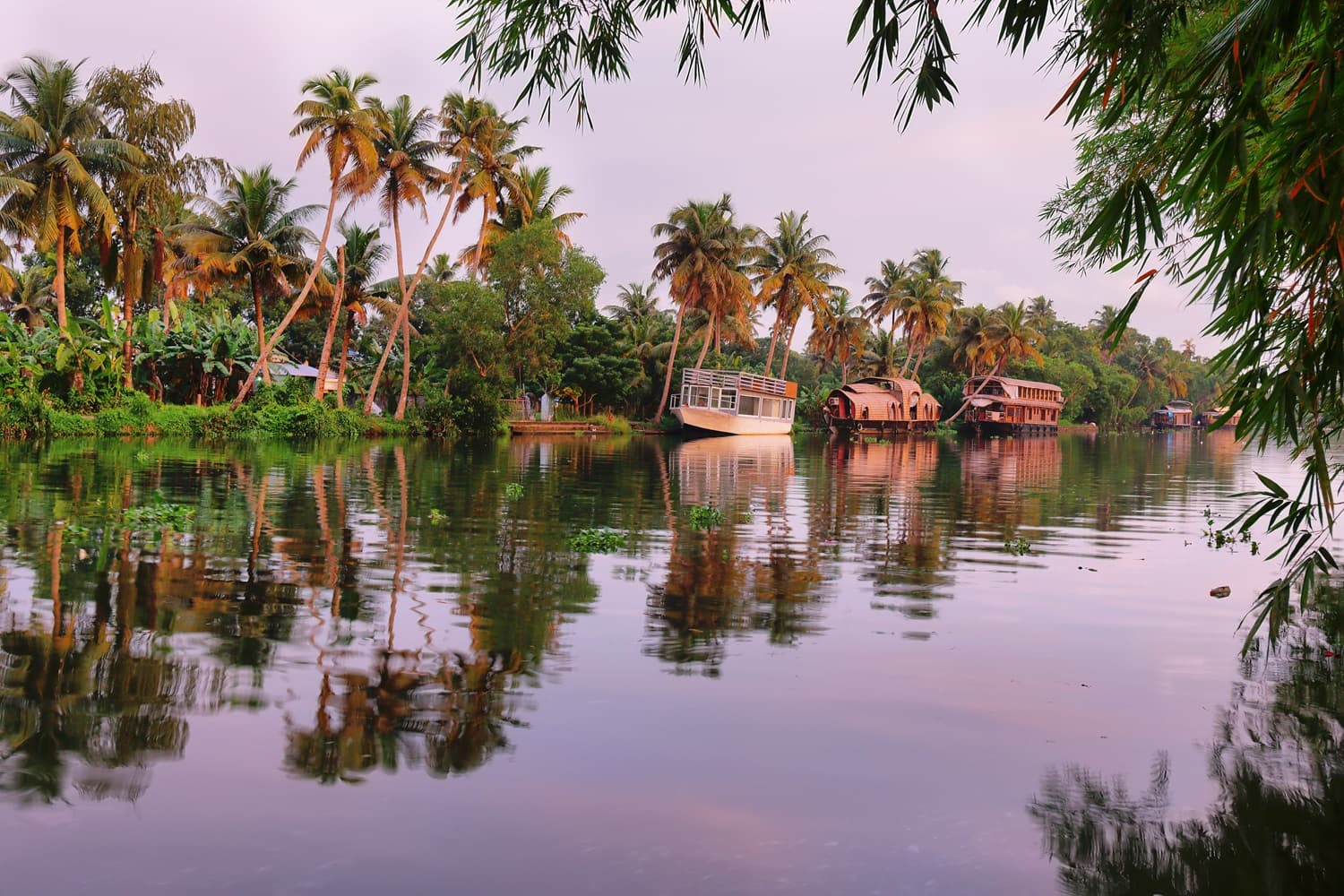 alleppey