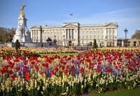 backingham palace