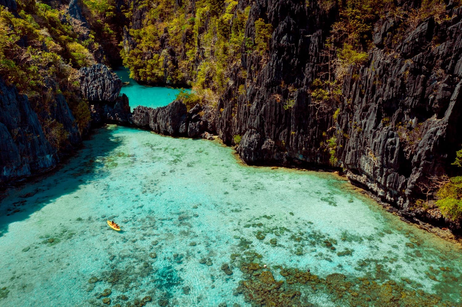BIG LAGOON
