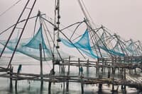 Chinese Fishing Nets