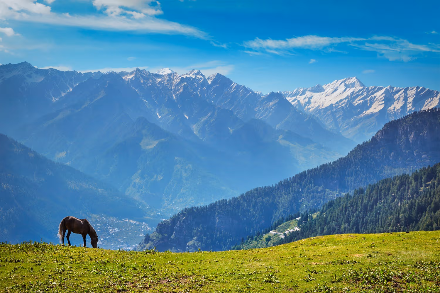 Himachal Pradesh 7