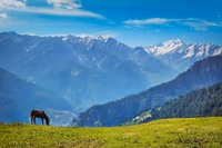 Himachal Pradesh 7