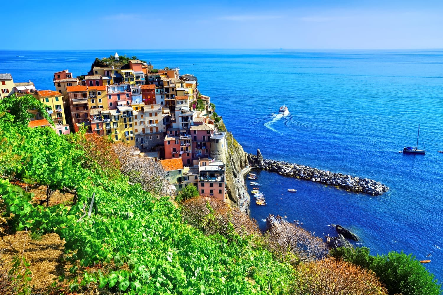 Manarola Tour