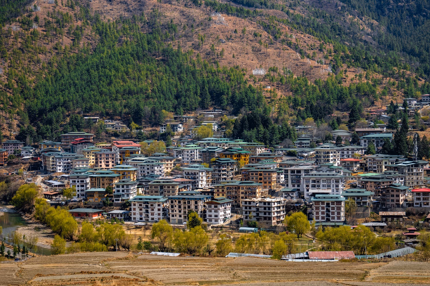 Mountain View with Paro