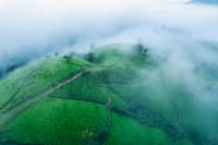 MUNNAR
