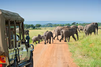 Masai Mara
