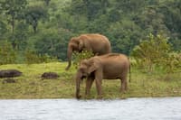 periyar-national-park
