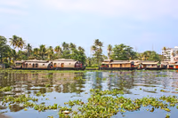 Stay at houseboats in Alleppey