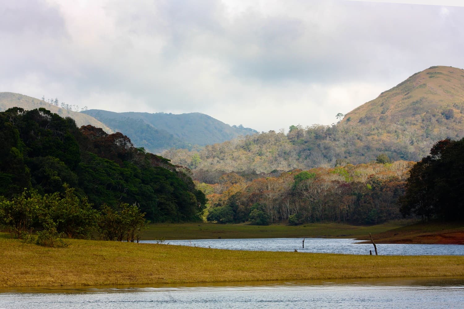 Thekkady