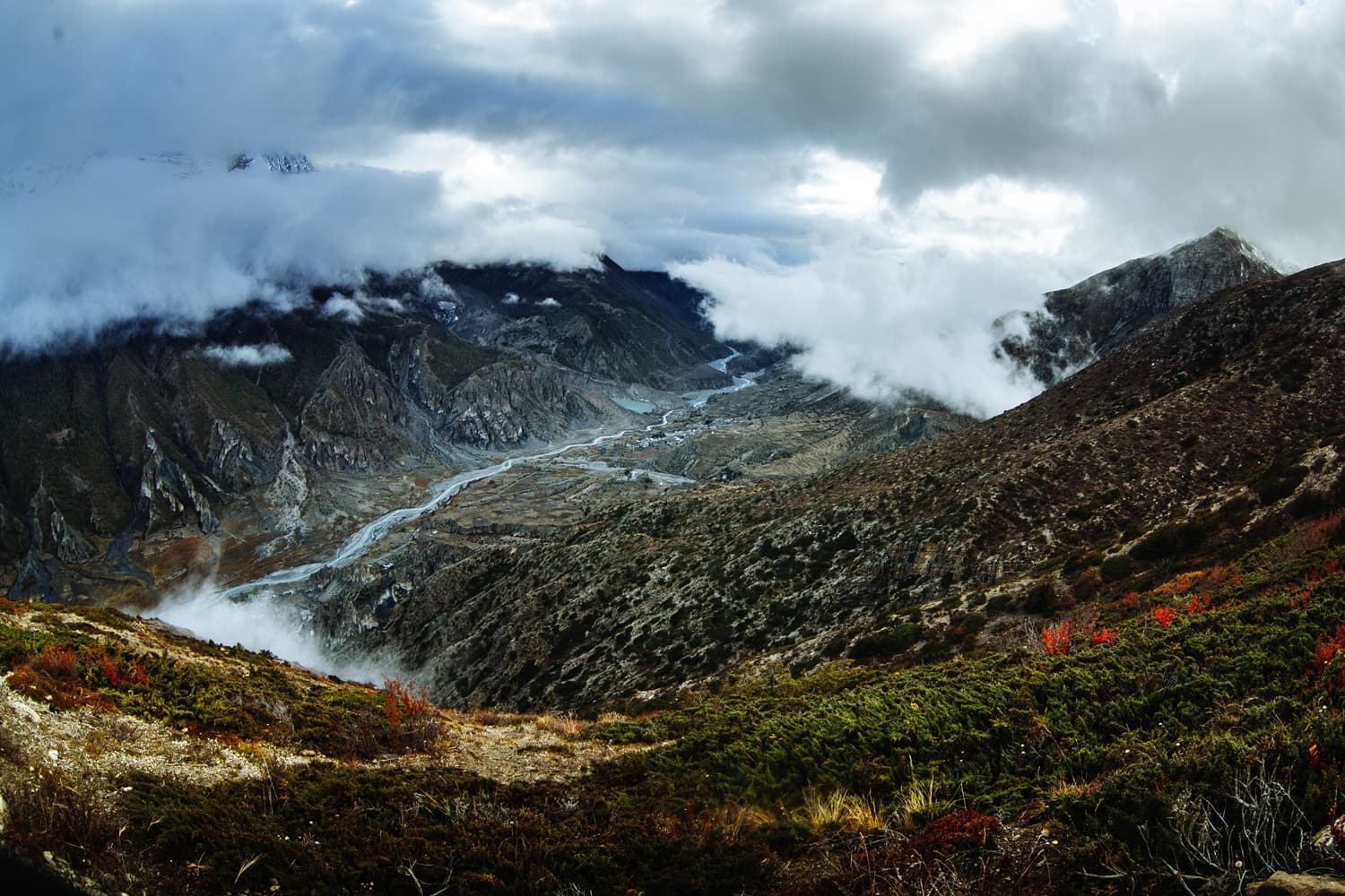 Yumthang Valley