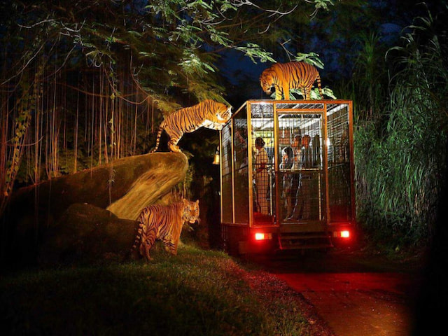 Bali Safari and Marine Park - 1