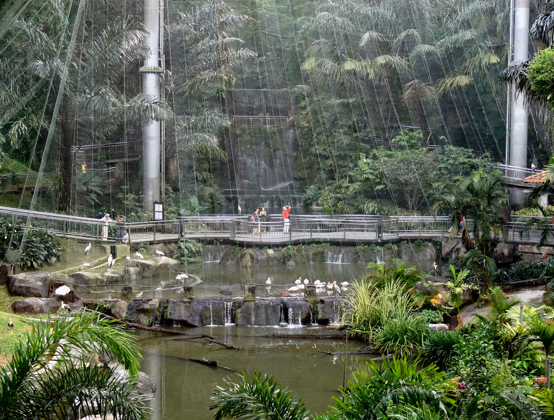 Bird Park