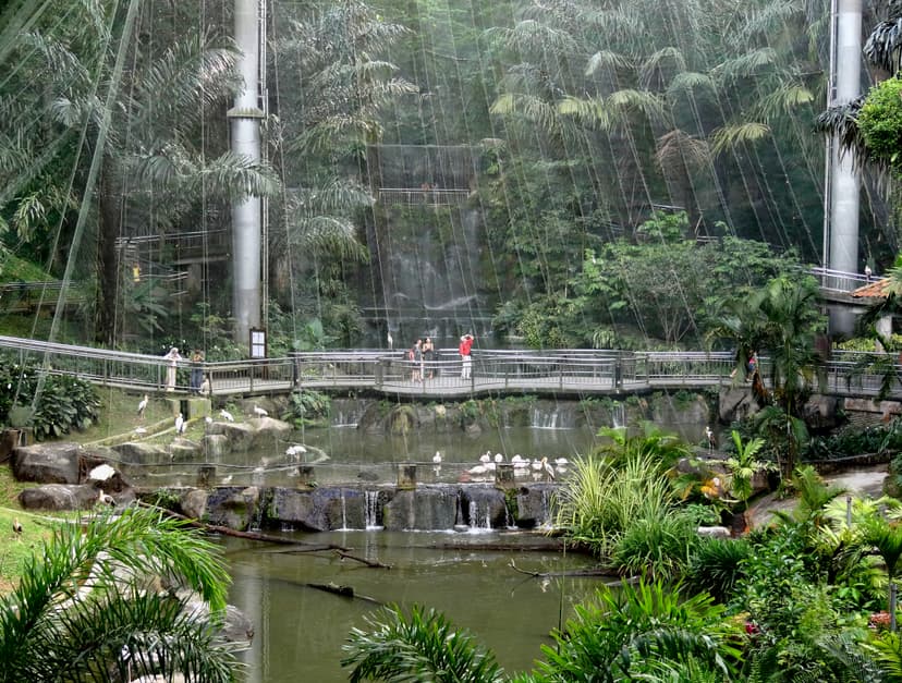 Bird Park
