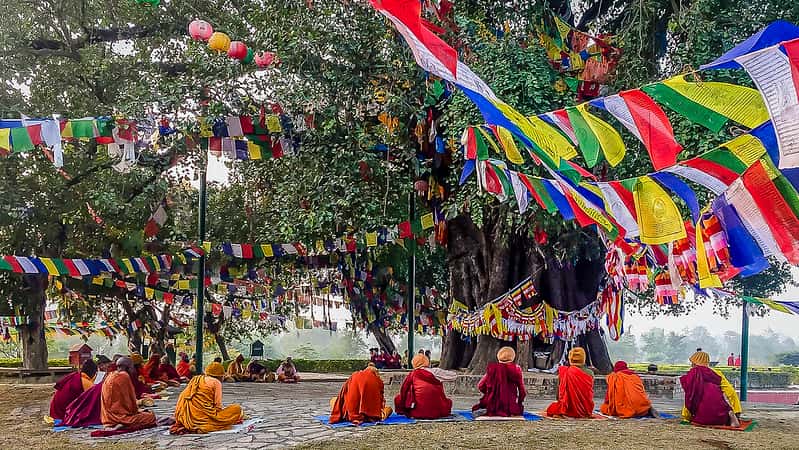 Bodhi Tree in Nepal