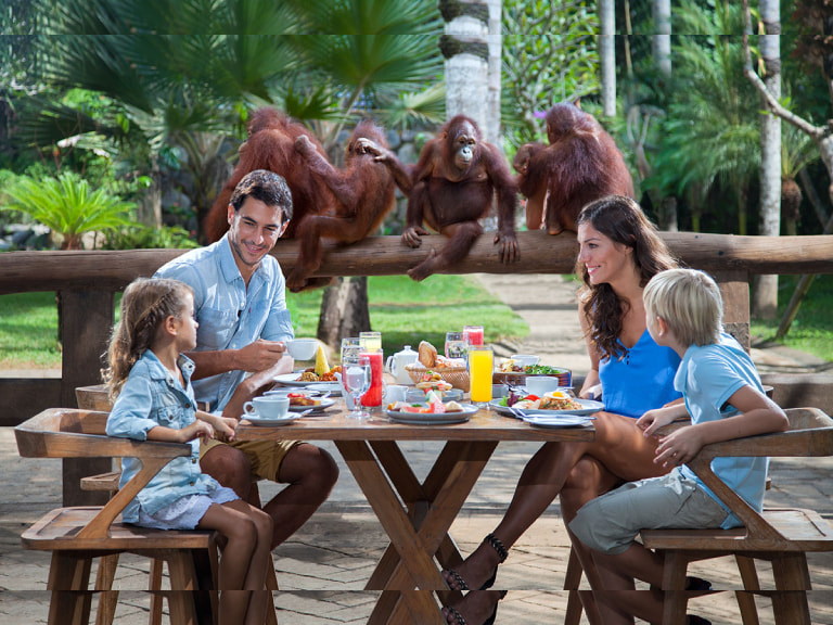 Breakfast With Orangutans In Bali Zoo - 1