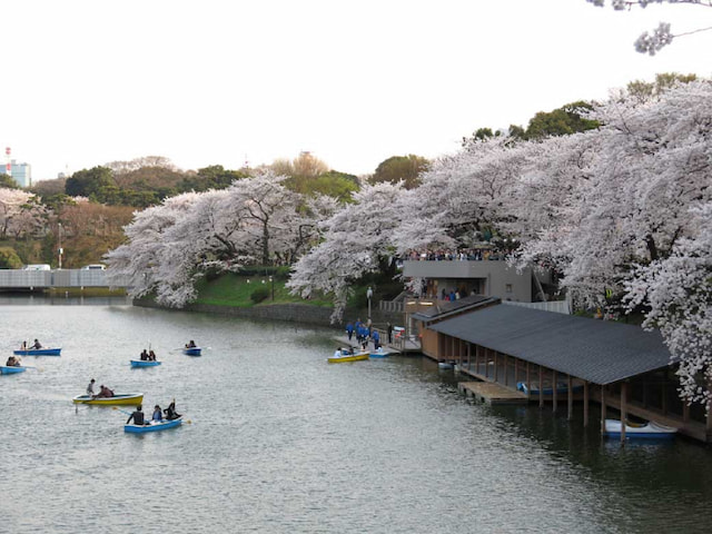 Chidorigafuchi Park - 1