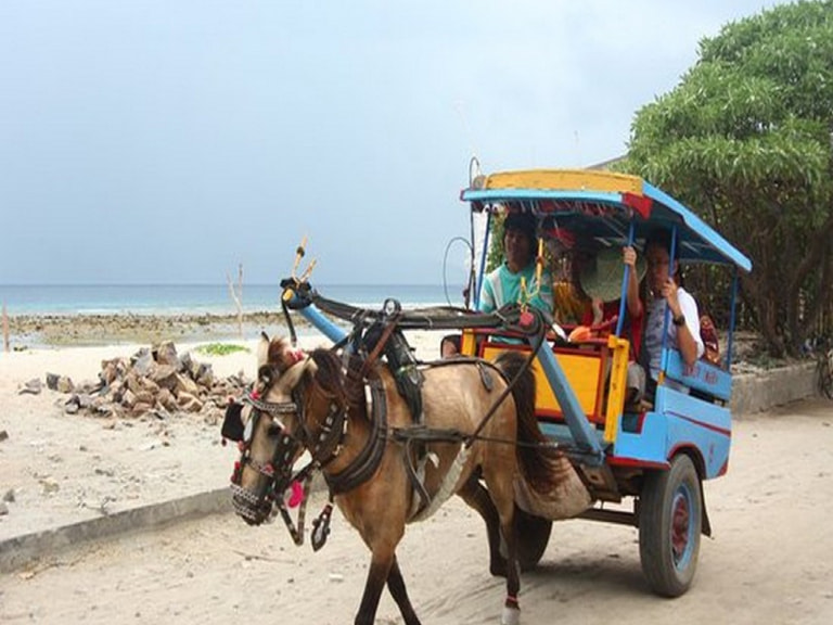 Cidomo Tour In Bali And Gili Island - 1