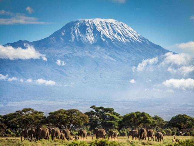 Climb Mount Kilimanjaro - 1