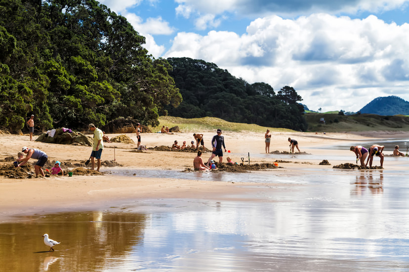 Dig your own Spa at Hot Water Beach