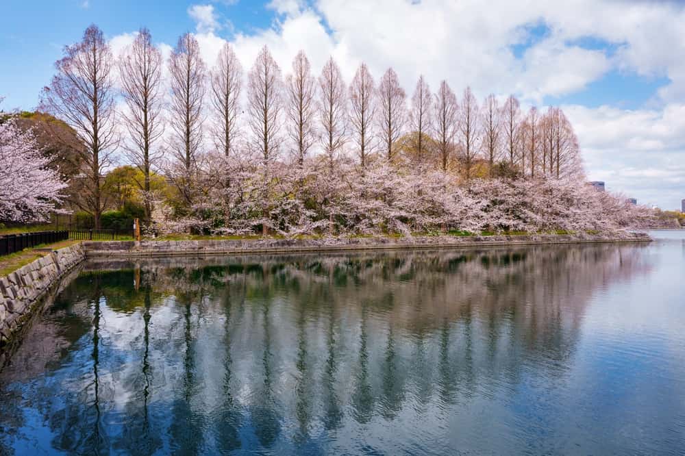 Enjoy 4 Seasons at Japanese Gardens in China Japan City Break