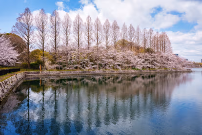 Enjoy 4 Seasons at Japanese Gardens 1