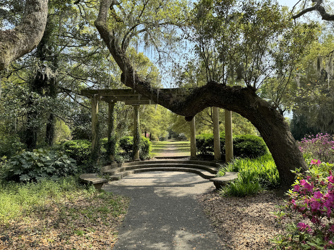 Enjoy Some Calm At Harry P Leu Gardens